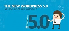 Первые заплатки для WordPress 5.0