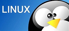 Google: Над ядром Linux должны работать ещё минимум 100 разработчиков